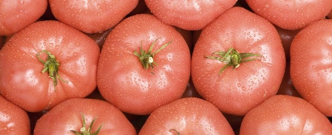 pomodoro